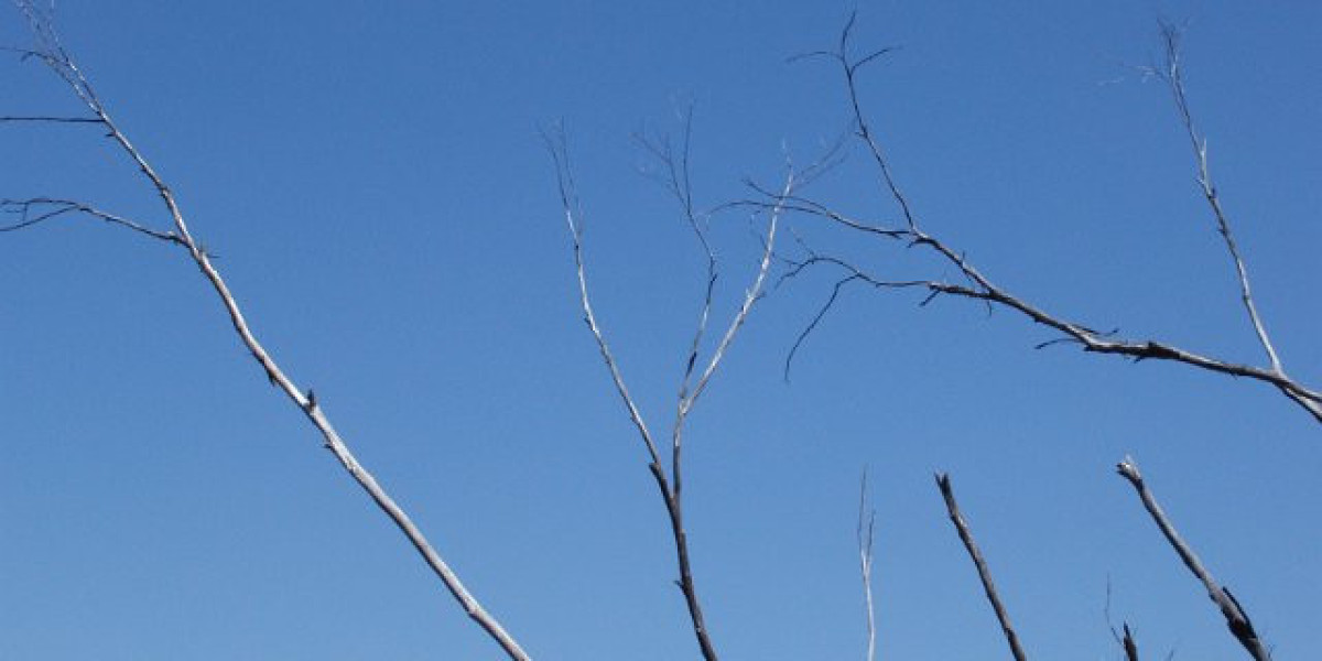 The Star Gold Coast licence suspension deferred until March 2025