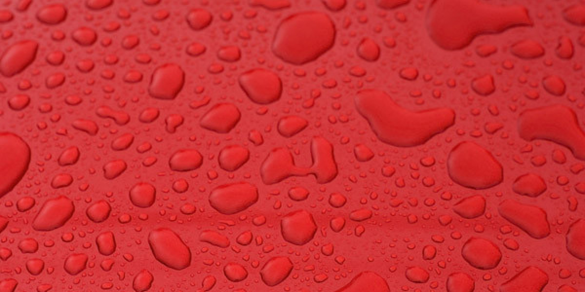 Meet the People Behind the Play