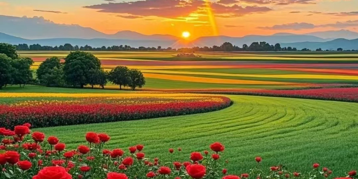 Paul Skenes and Jared Jones dominating for Pirates as beginners