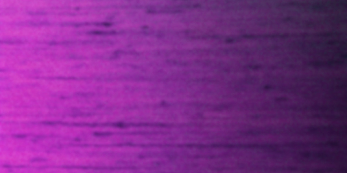 Why did the Star Casino share price just dive 19% to an all-time low?