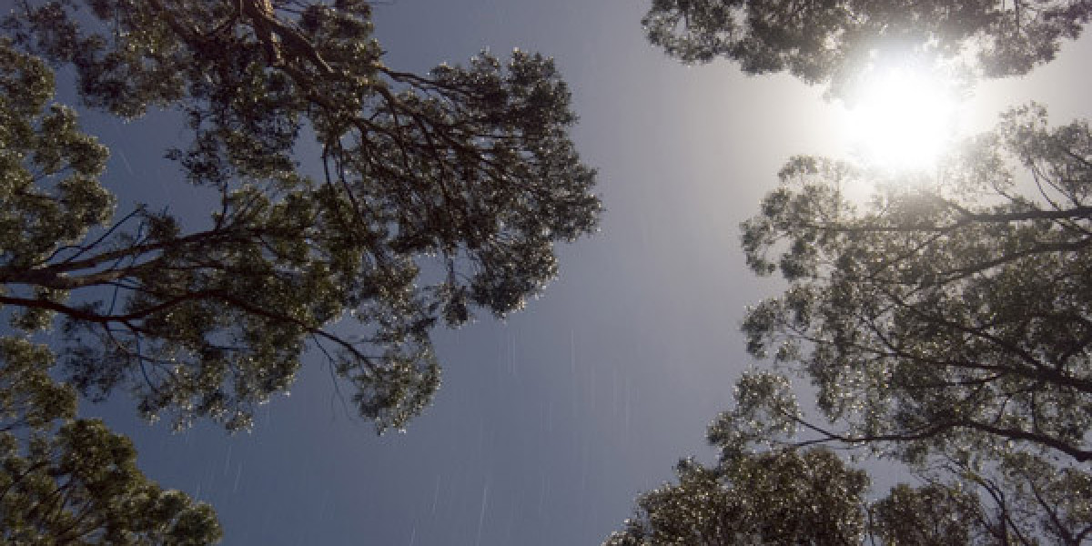 Play & Win A$2500 + 250 FS Bonus