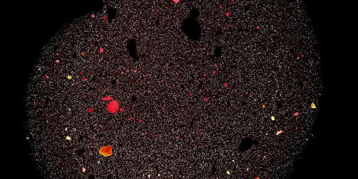 Casino Nova Scotia Sydney Review Should You Visit?