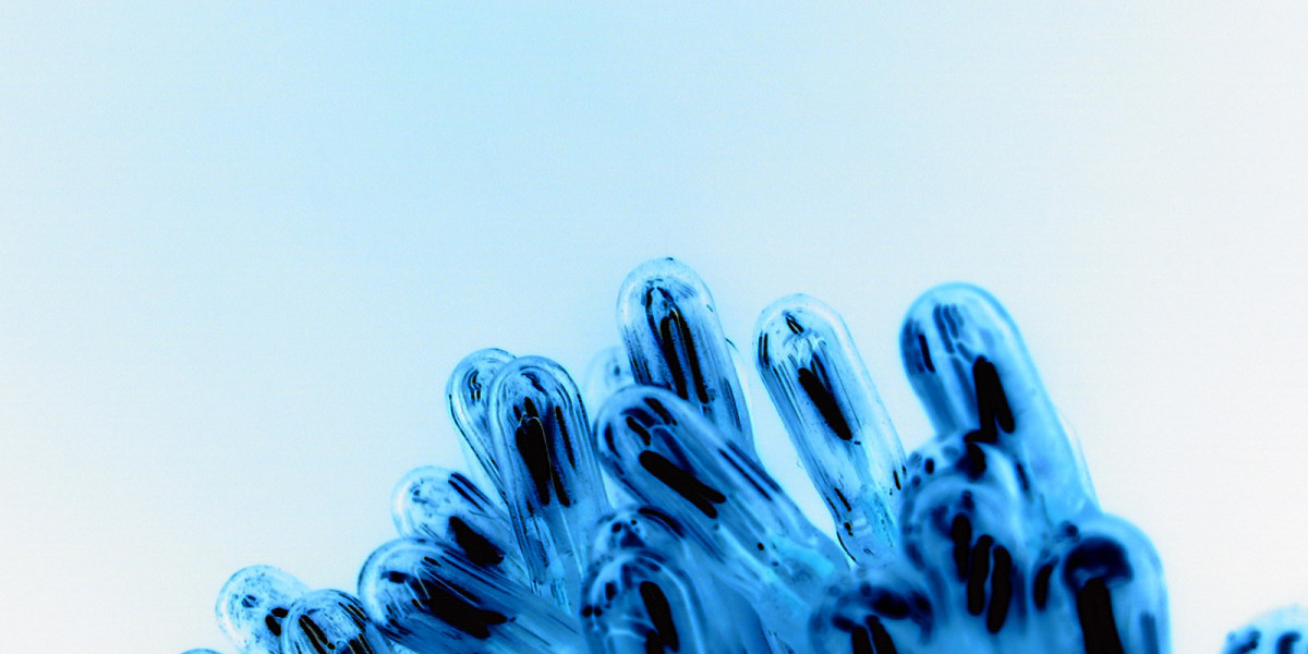 List of North Carolina Casinos: Complete Map of All Locations 2025