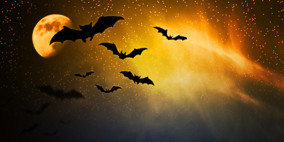 Advancements in Gold IRA Companies: A new Period Of Investment Security