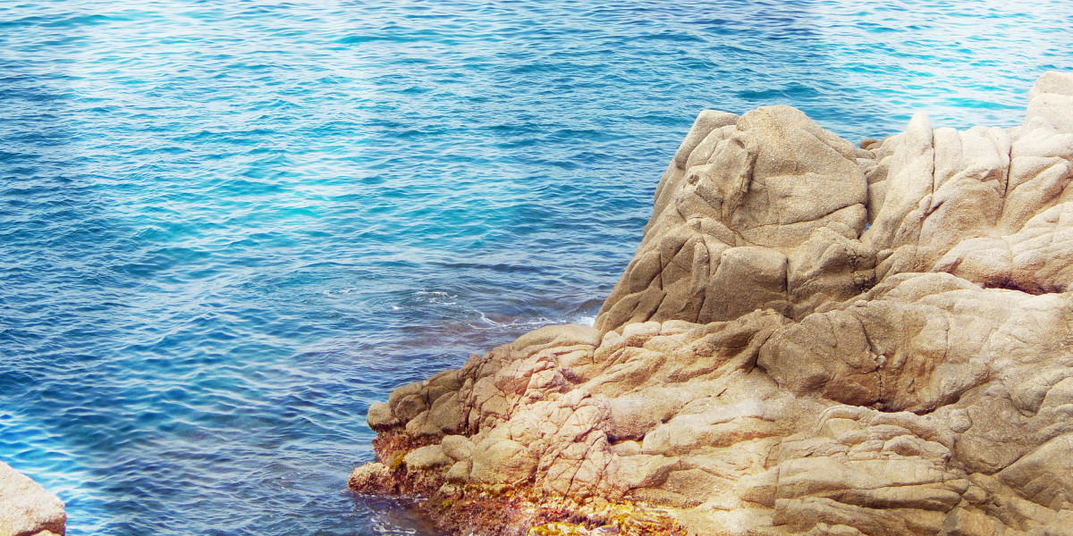 The Rise of On-Demand Private Jet Charters: A new Era In Luxurious Journey