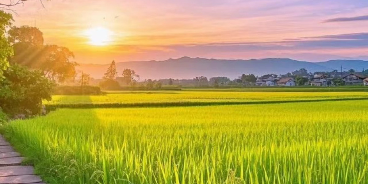 Recreation PREVIEWces Generate towards Chicago for To start with 2024 Convention With Revamped Sky