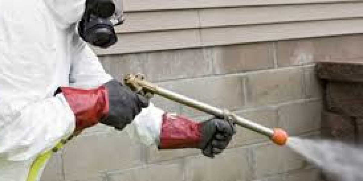 Professional Bed Bugs Treatment Lahore for a Peaceful and Hygienic Living Environment