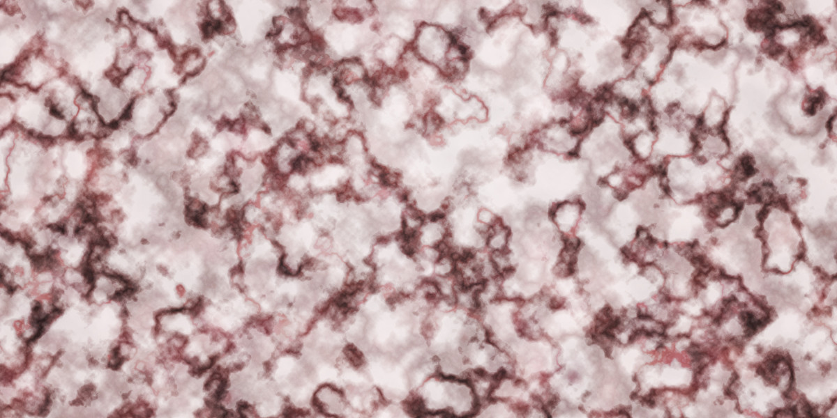 Securing a Personal Loan with Bad Credit and No Cosigner: A Comprehensive Guide