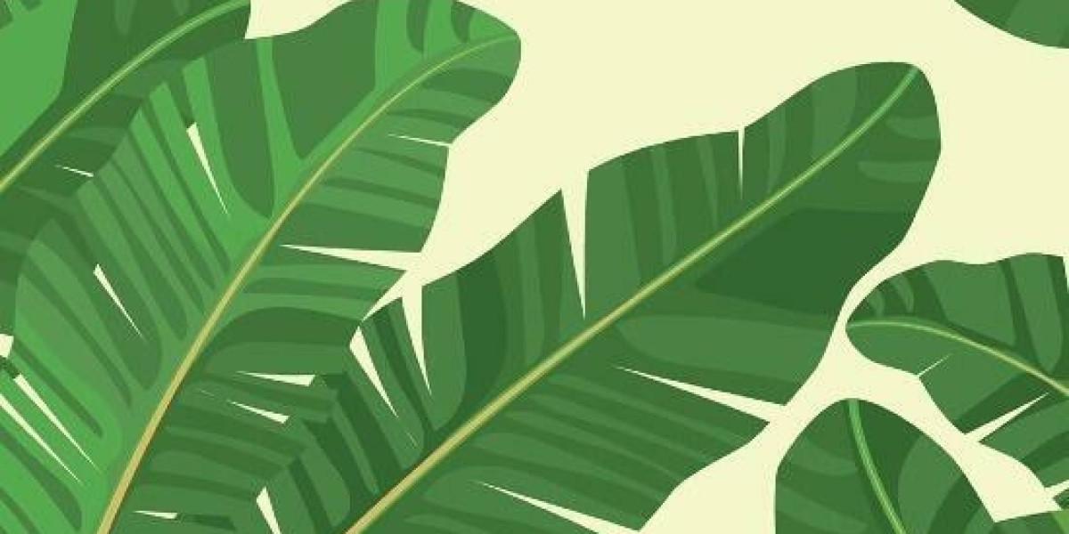 December 22, 2025: Bet9ja's Biggest Winners and Their Life-Changing Jackpots