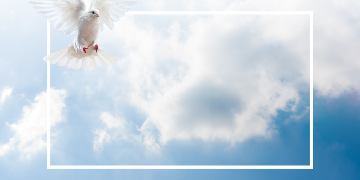 Exploring the Purchase of Cheap Modafinil Online: A Comprehensive Study