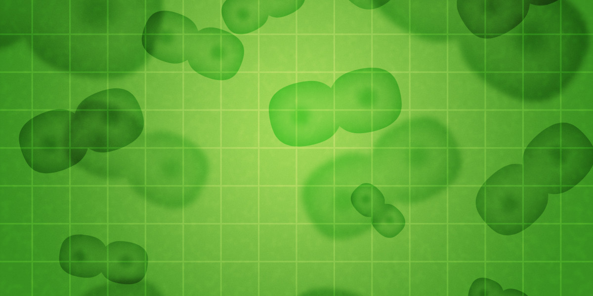 Over-the-Counter Treatments for Erectile Dysfunction: An Overview