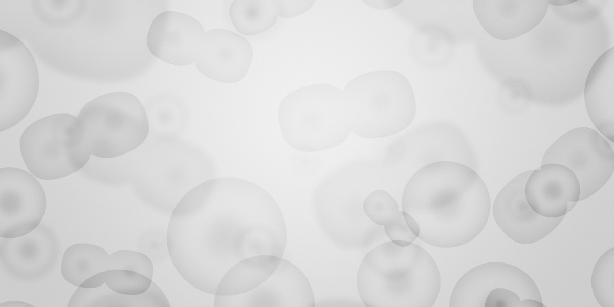 Finding Personal Loans for Bad Credit: A Comprehensive Guide to Your Options