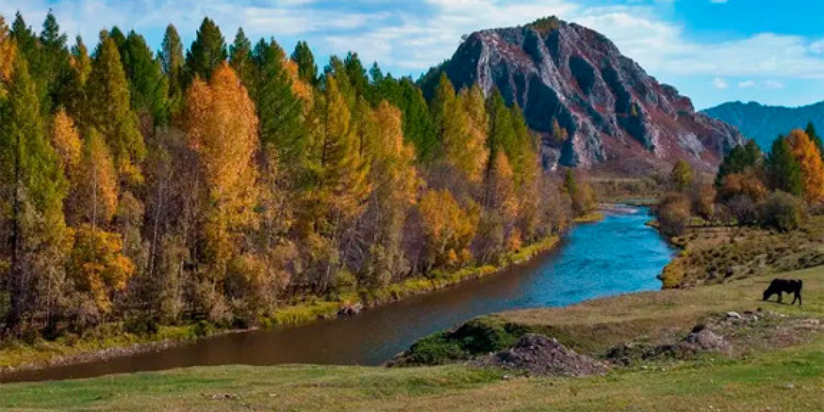 Природа и культура: Алтай на altai.travel