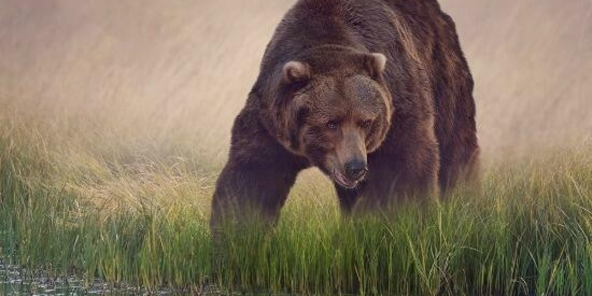 The BET9ja promo code this 2026 is YOHAIG