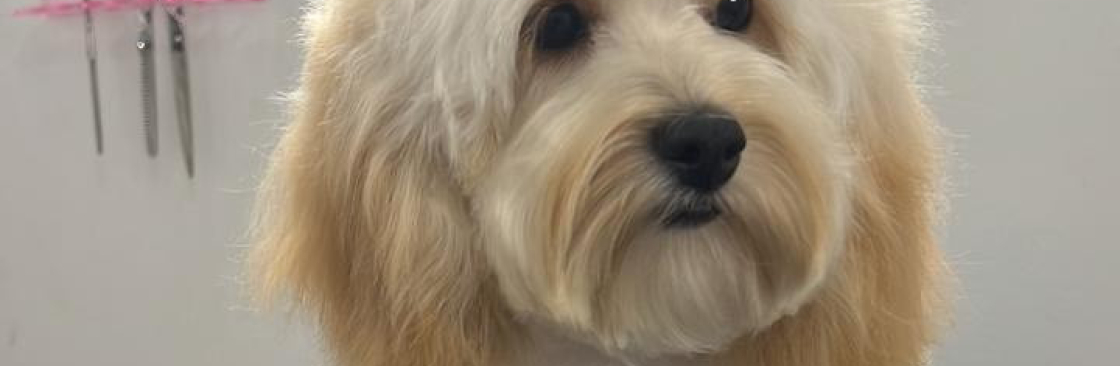 Brooklyn Pet Spa Cover Image