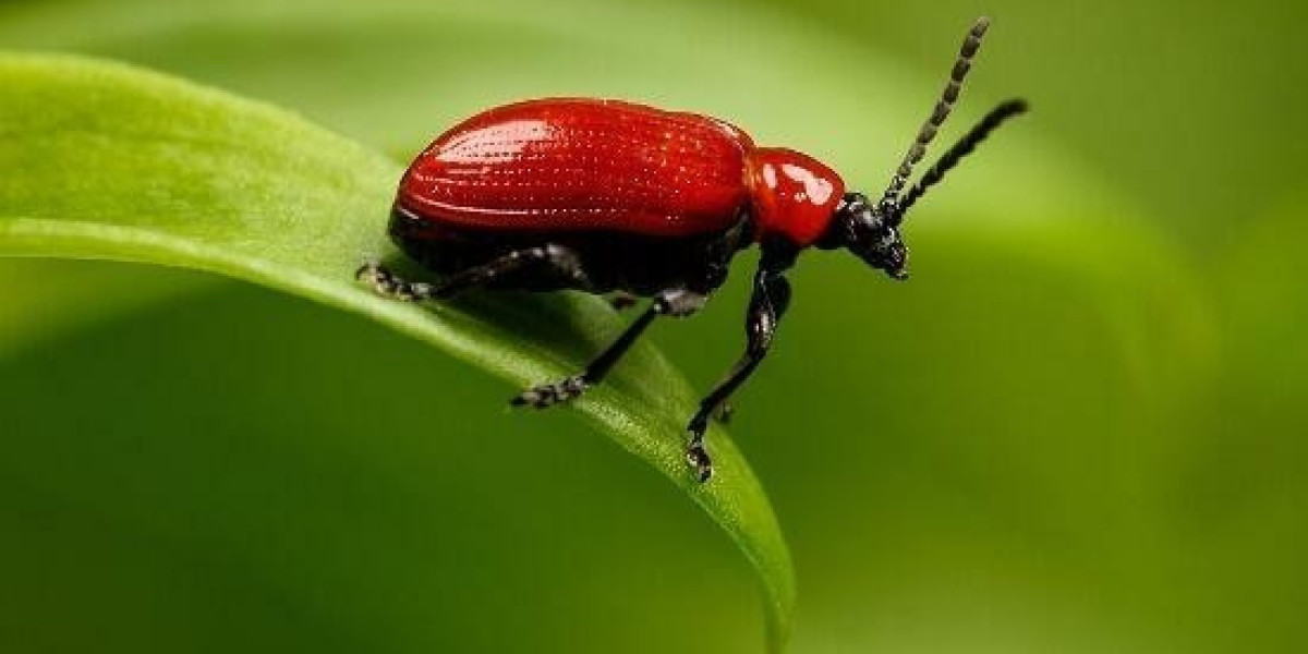 Twenty Five/7 Talent Agency - Transforming Lives And Breaking The Cycle Of Disadvantage