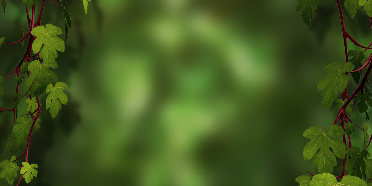 The Rising Trend of Gold Coin IRAs: A Secure Investment for the Future