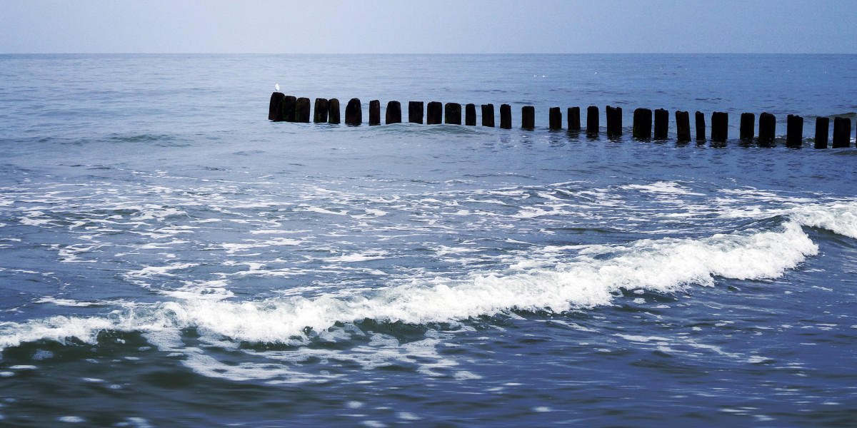 Exploring the Landscape of No Credit Check Loans: An Observational Study