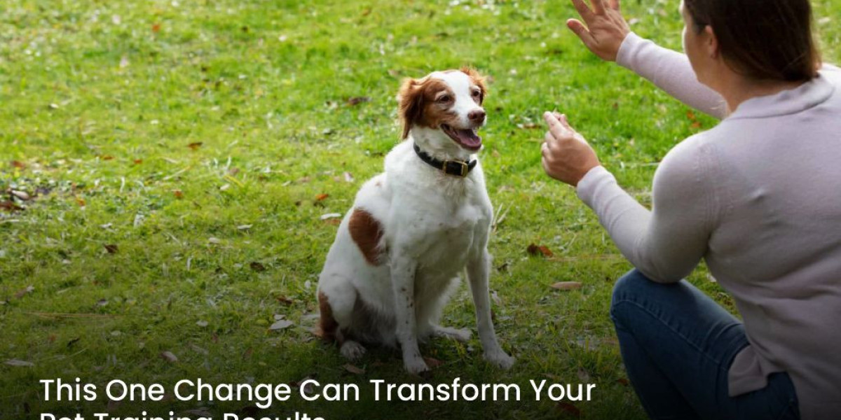 This One Change Can Transform Your Pet Training Results
