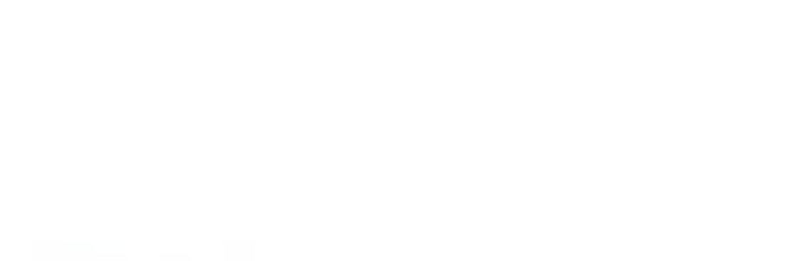 W3 Speedster Cover Image